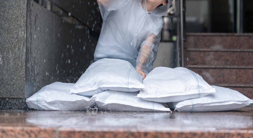 台風・大雨シーズン後に増える「境界標がない・動いた」トラブルと確定測量の進め方